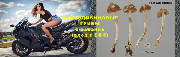 эйфоретик Кодинск