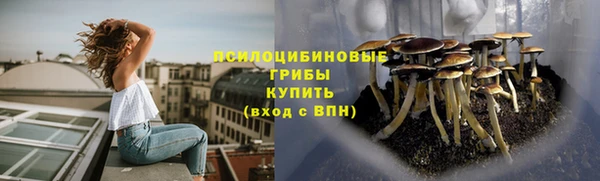 ешки Костерёво