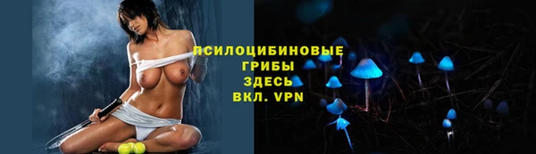 ешки Костерёво