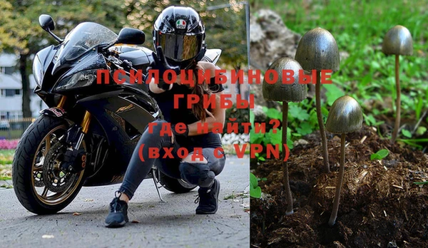 PSILOCYBIN Козельск