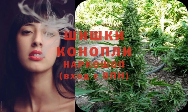 стаф Коряжма