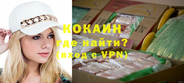 стаф Коряжма